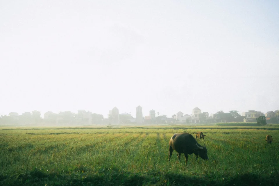 Kho gạo của Nguyễn Hữu Thọ